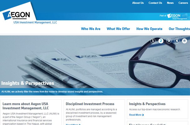 aegon investments management group