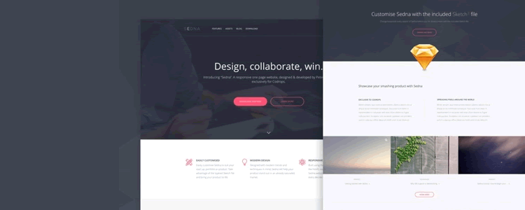 Sedna One Page Website Template