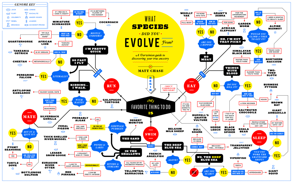 matt-chase-what-species-did-you-evolve-from-flowchart_1_1000