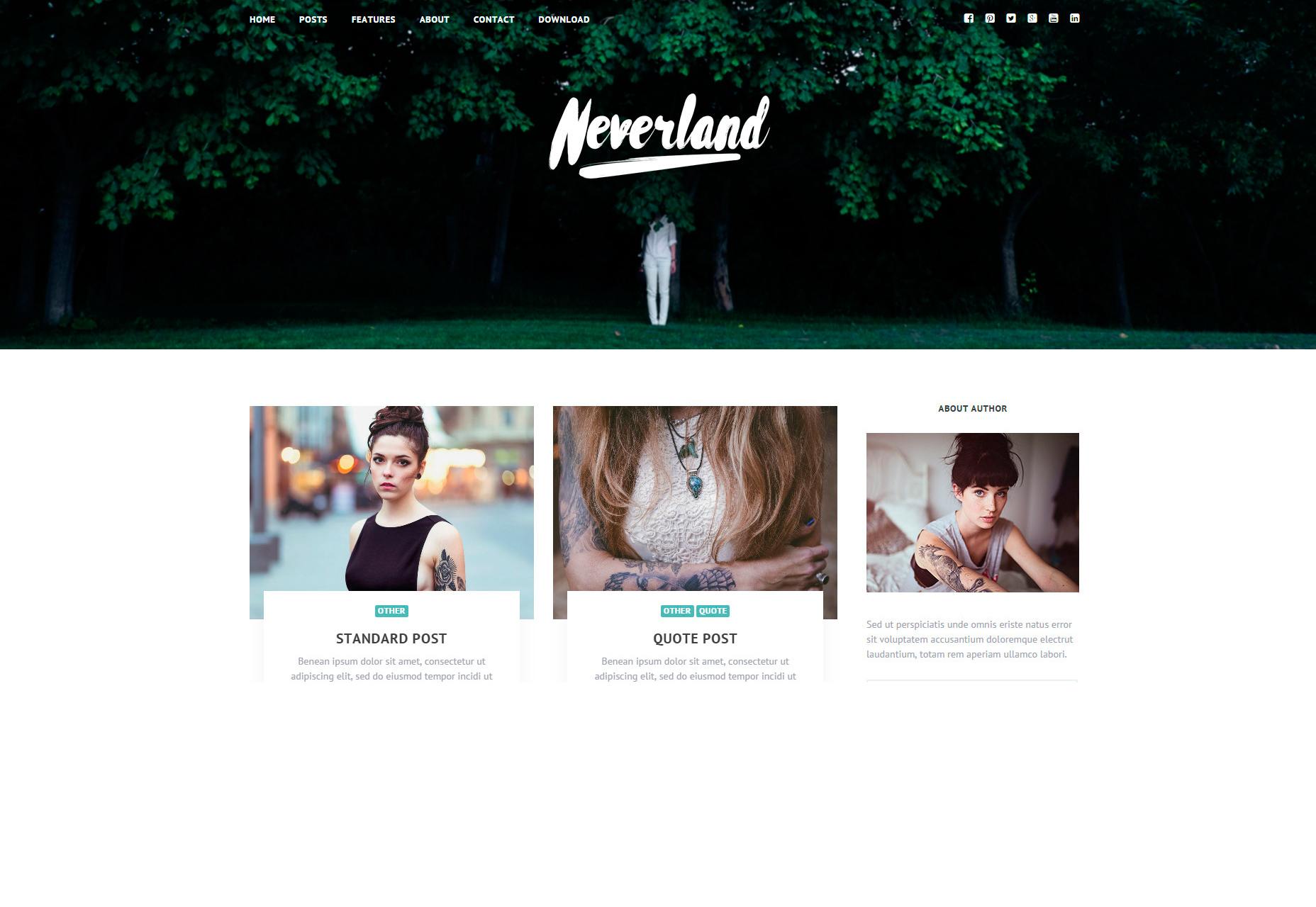 neverland-free-personal-blog-wordpress-theme