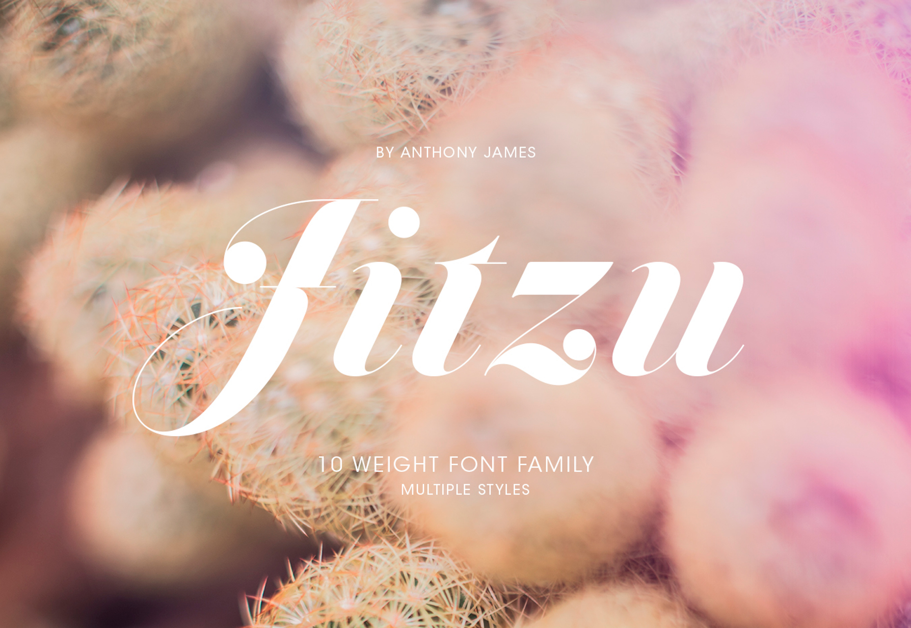 jitzu-fancy-10-weight-didone-typeface