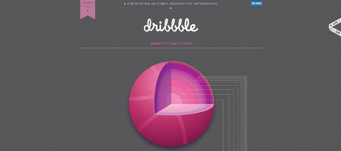 Dribbble-Interactive-Infographic