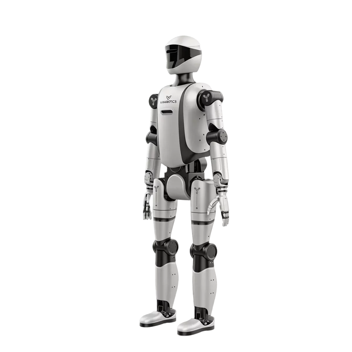 VR-M2