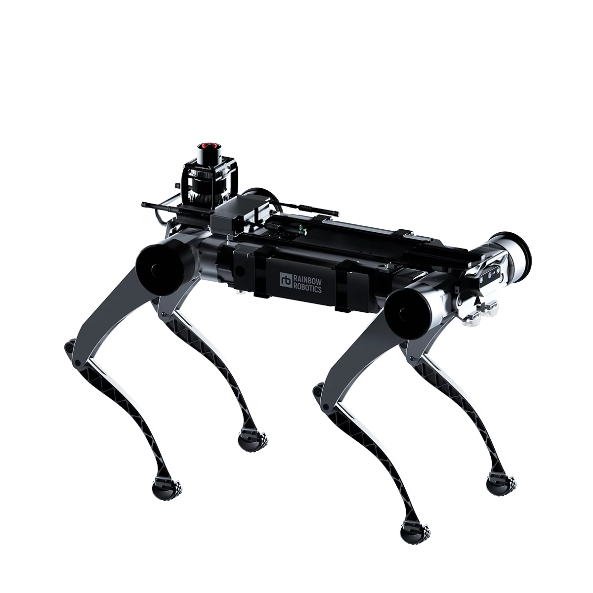 RBQ-3