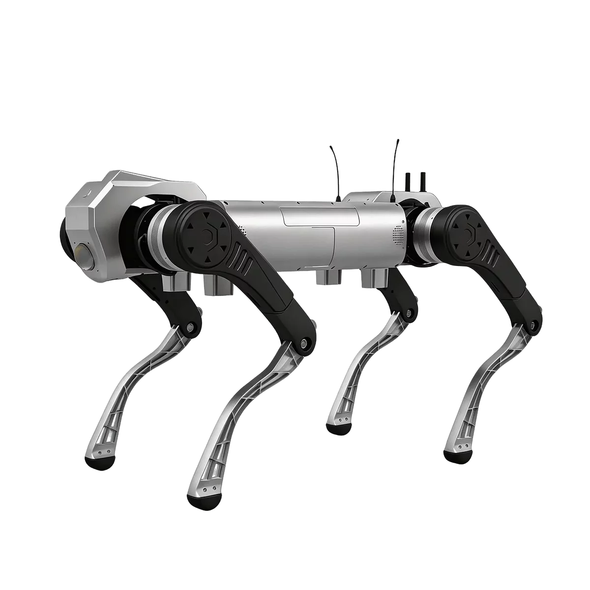 D1 MaxPro