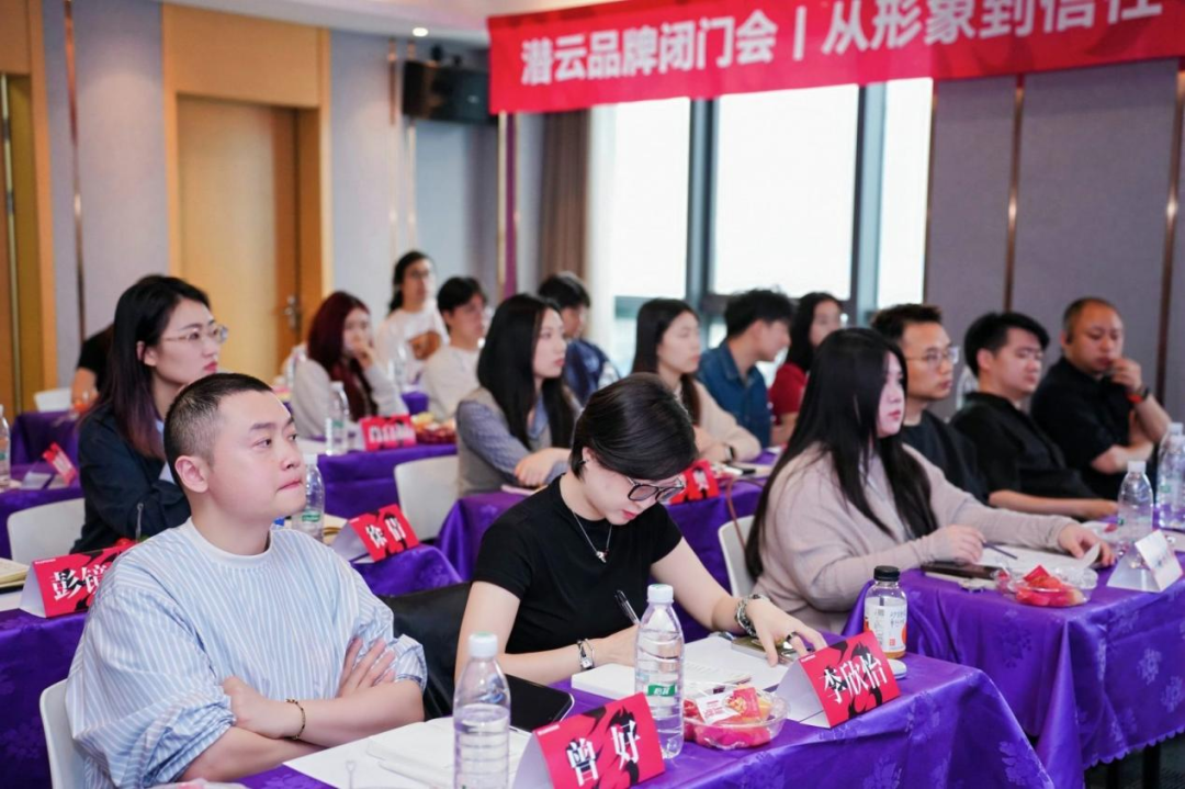 跳出同质化竞争：潜云品牌屋模型实现战略落地与产品承接一体化