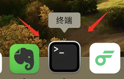 20000多张照片6年没整理,AI半小时帮我全搞定了!