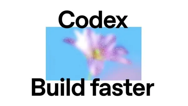 我劝你别碰 Codex 的插件！因为会上瘾！