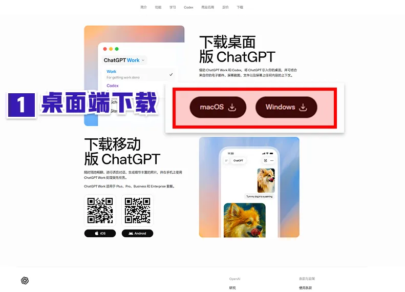 Codex万字通关指南，带你从入门到精通！