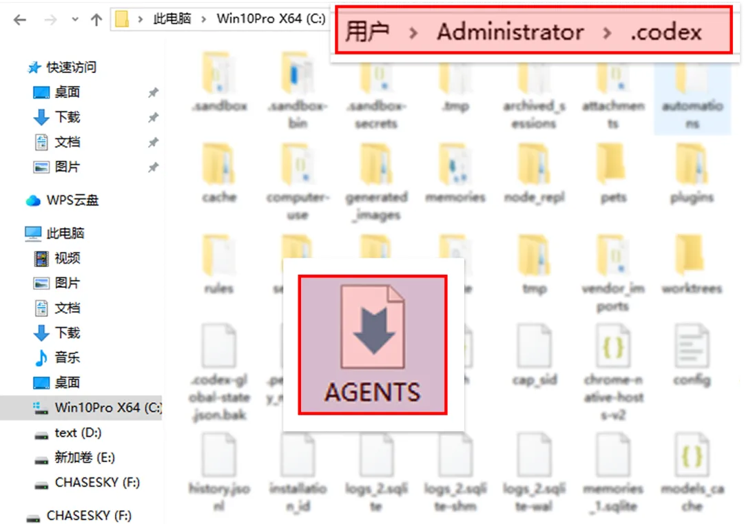 Codex万字通关指南，带你从入门到精通！