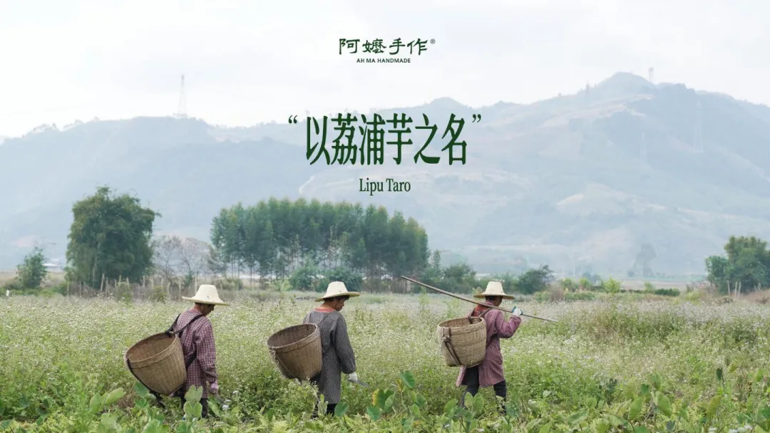 潜云4T拆解阿嬷手作:一杯奶茶如何把真材实料做成品牌信仰?