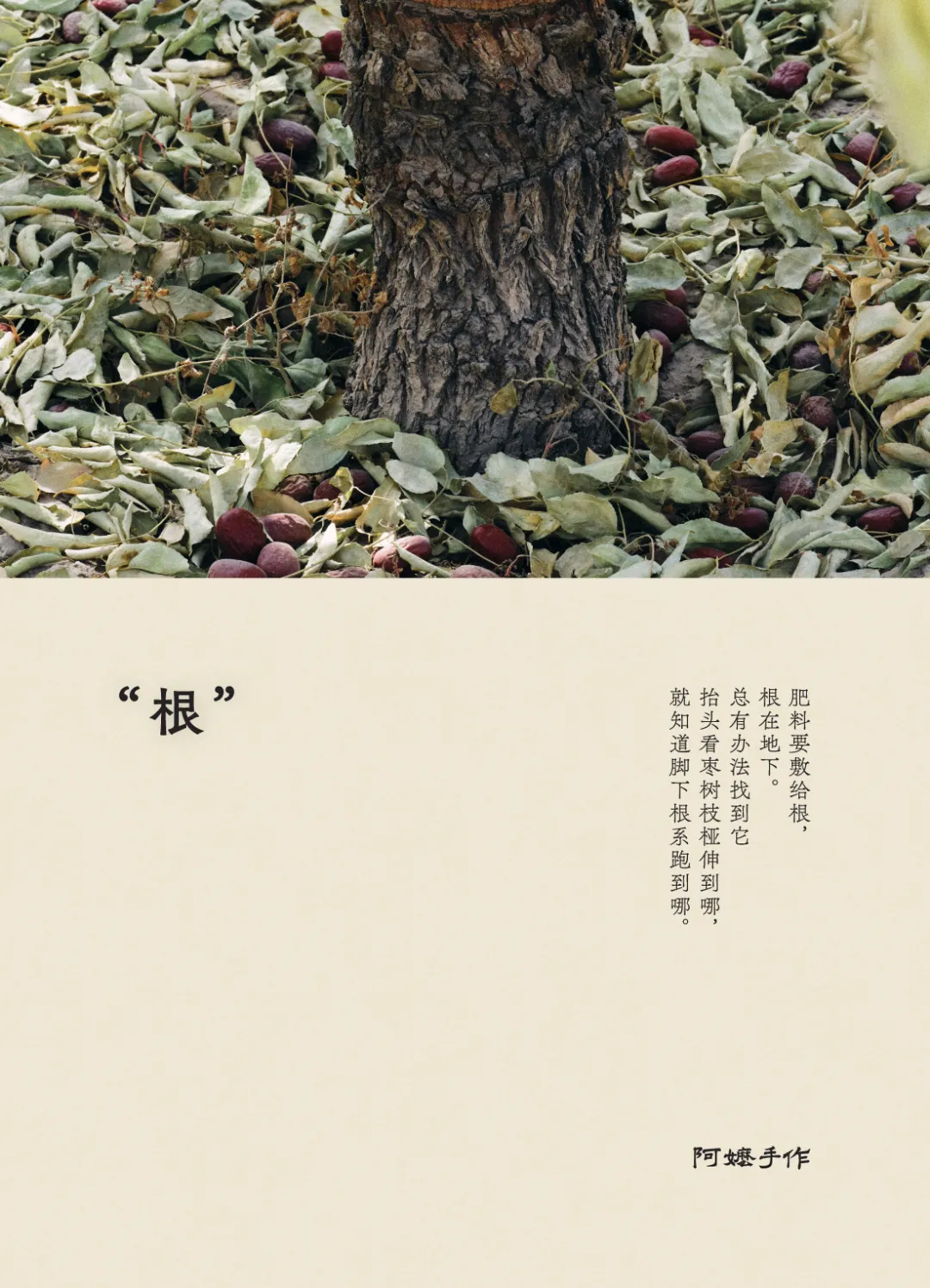 潜云4T拆解阿嬷手作:一杯奶茶如何把真材实料做成品牌信仰?