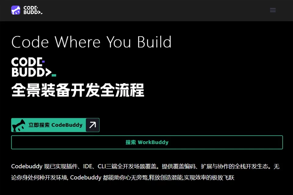 CodeBuddy