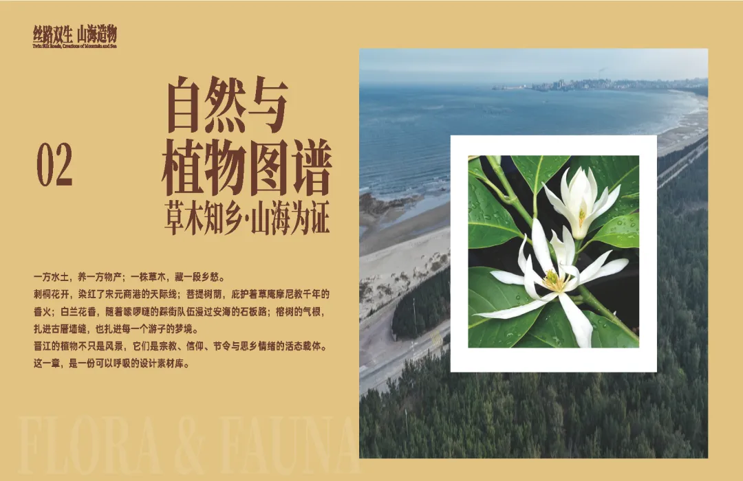 为晋江文旅举办文创设计大赛,超30万奖池赋能城市礼物产业化落地