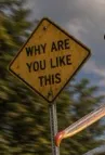 你的 AI 被降智了吗？试试让它画「鹈鹕骑自行车」就知道！