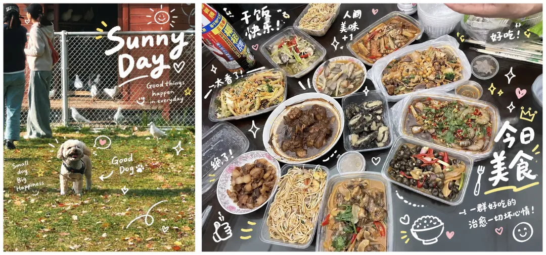 GPT-Image 2.5 假期出片指南!12个玩法从修图到朋友圈大片